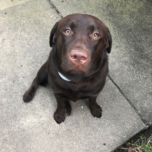 Meet your Posher, Jackson